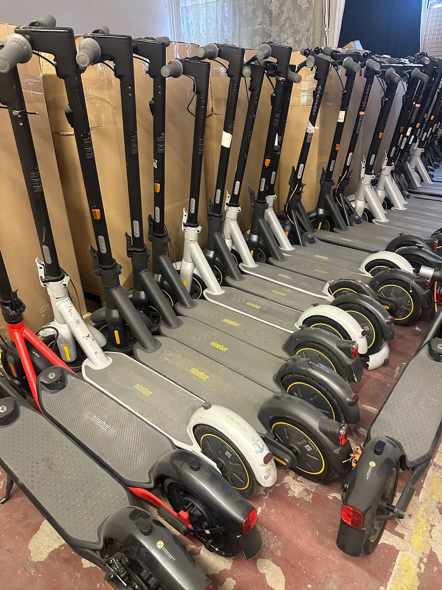 Segway eKickScooter Ninebot F40E